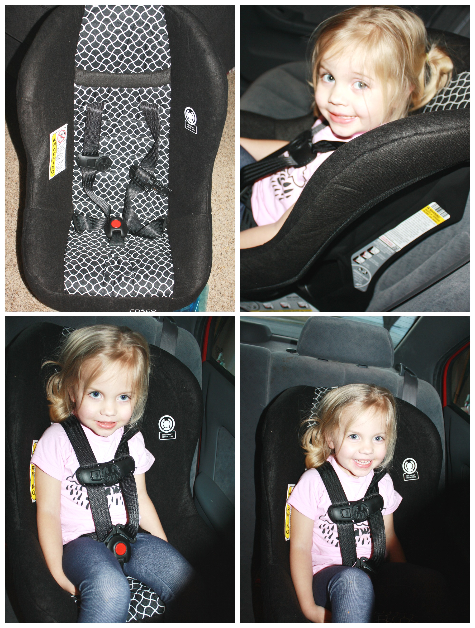 cosco scenera next convertible car seat safety rating