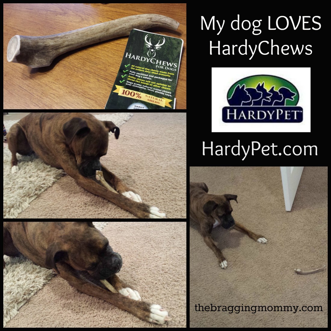 hardychews