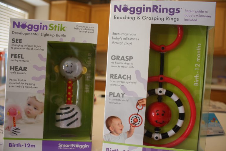 smart noggin toys