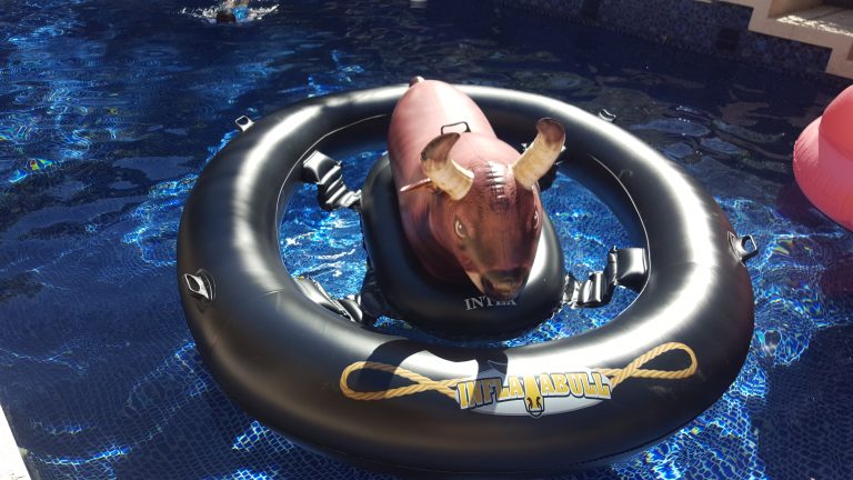 inflatable pool bull