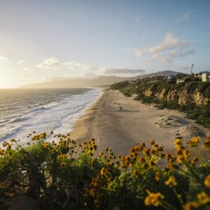 a beach with flowers and a sun setting