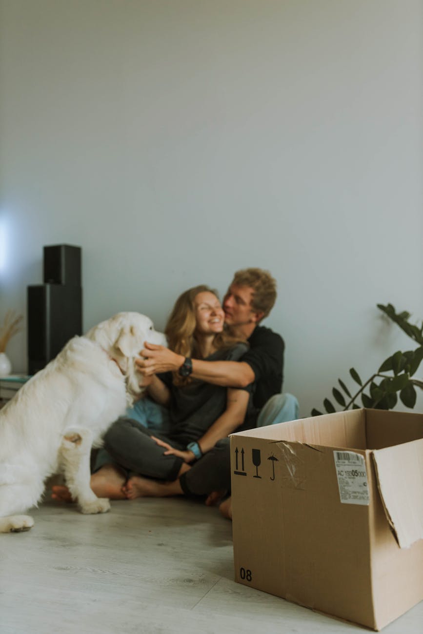 a couple sitting on the floor while playing with their dog